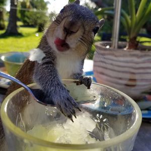 Meet your Posher, Stacey